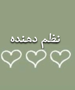 نظم دهنده